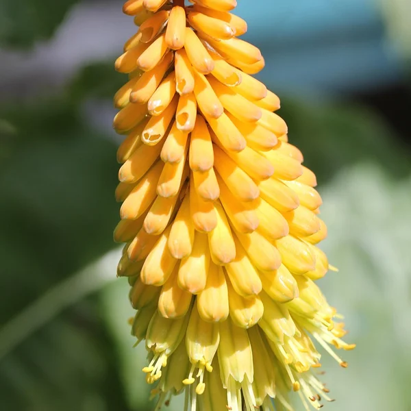 博彩软件棋牌游戏